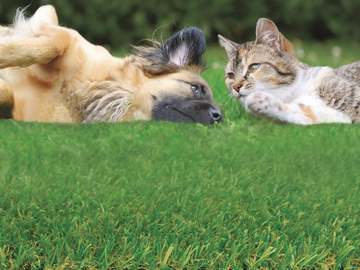 IRISH MAT PLUS - Synthetic grass surface by TENAX