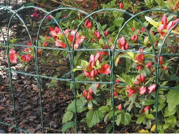 ONDAMET - Iron lawn edging by TENAX