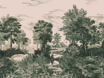 BUCOLIC - Landscape wallpaper by Texturae