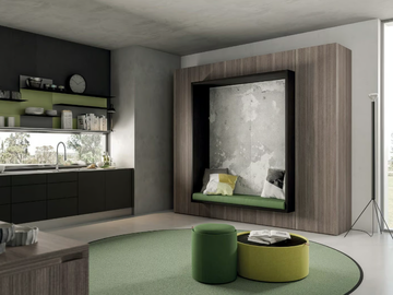 ALCOVA SYSTEM - CONFIGURATION 255 - Pull-down bed by TUMIDEI
