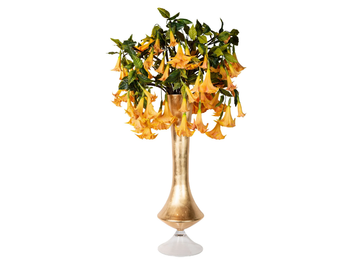 CHIARA VASE WITH DATURA - Floral composition with glass vase by VGnewtrend
