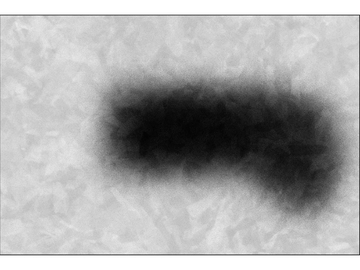 BLUR 18 - Rectangular cotton rug by VIDAME EDITIONS
