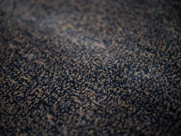 PUNT - Contract carpet by Warli