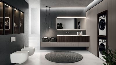 Modo Laundry_concept_02
