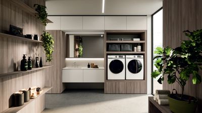 Modo Laundry_concept_04