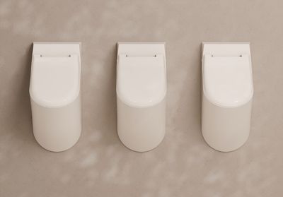 Form wall hung urinal
