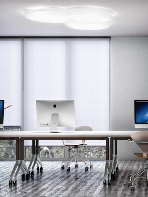 Moon Ceiling Lamp (ref. 9850)