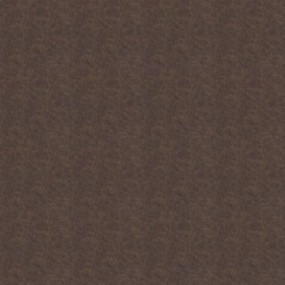 Austin Taupe