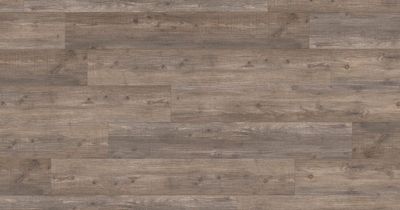 Harbour Pine