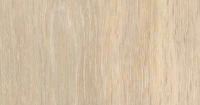 Tidewood Oak