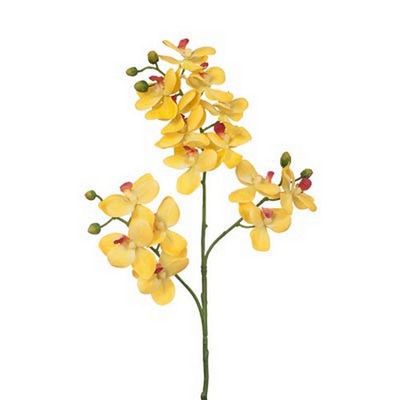 Artificial 30 inch Yellow Phalaenopsis Orchid | 1825 Interiors