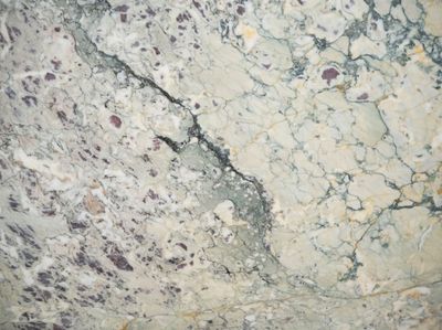 Breccia Capraia Antico