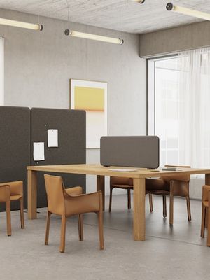 Softline Floor Screen