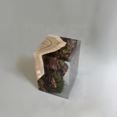 STUMP Stool - Walnut