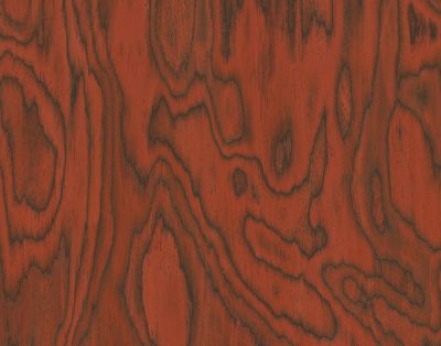 ALPI Sottsass Red