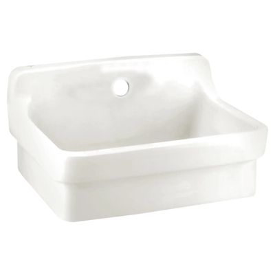 All Purpose Wall Mounted Sink