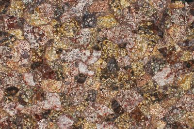 Bird's Eye Rhyolite