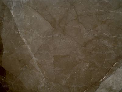 Bronze Amani®