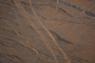 Bronzite Original