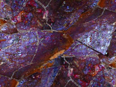 Multicolor Blood Agate