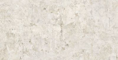 Evoke White Natural 50X100