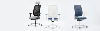 Chairs Dotway