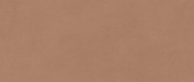 Boost Expression Sienna Matte