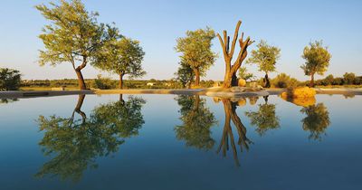 Un élément d’ameublement | Biodesign Pools