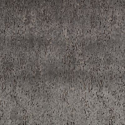 Ashi Eucalyptus