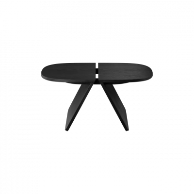 AVIO coffee table made of oak in Black Oak 40 x 80 cm