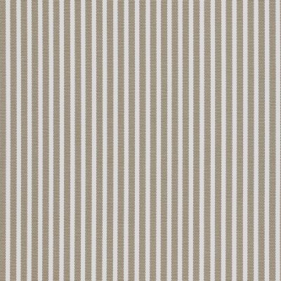 Dune Stripe