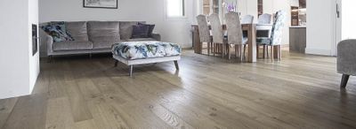 Contorta Quercus Beaver