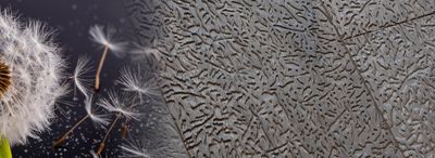 Texture Sketch