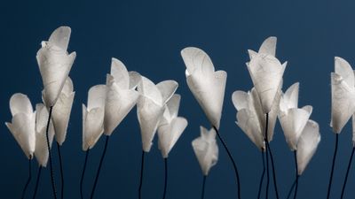 For You