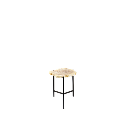 Petrified Corner Table