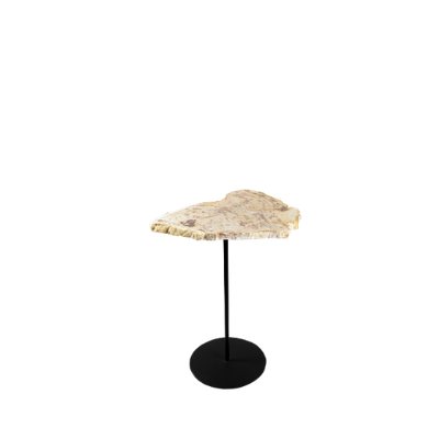 Petrified Pole Table