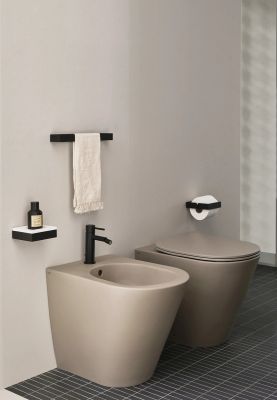 Mare back to wall bidet
