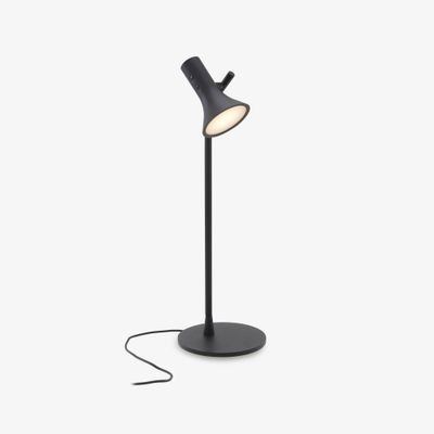 Asha Table lamp