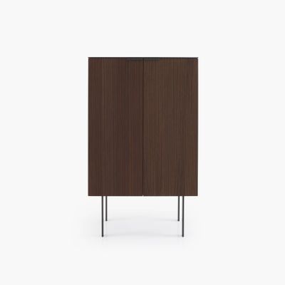 CUPBOARD WITH DOORS C 65