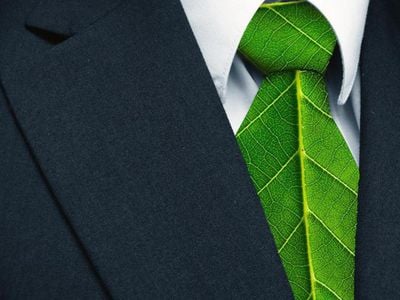 Sostenibilità, Chiattelli (Ey): "Domanda per lavori green aumenterà sempre più" - Civita
