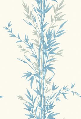 Bamboo