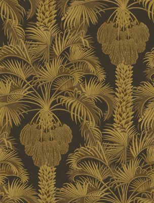 Hollywood Palm
