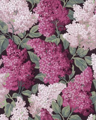 Lilac Grandiflora (2 roll set)