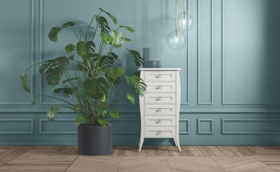 Shabby Chic