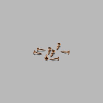 Self tapping screw - PVD copper
