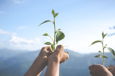 Guida alle certificazioni di sostenibilità in edilizia: LEED e WELL. - Decoral Group