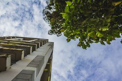 Lo sviluppo immobiliare attraverso l’Edilizia Sostenibile Certificata. - Decoral Group