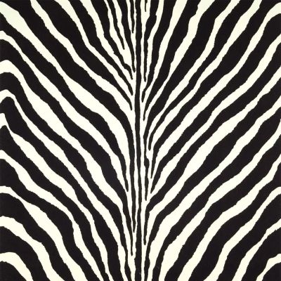 Bartlett Zebra - Charcoal