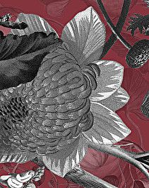 Botanica Wine Wallpaper