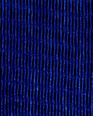Spider Black Led Royal Blue